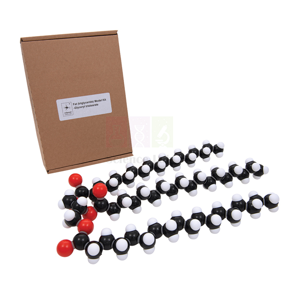 Molecular Model Kit, Fat (Glyceryl Tristearate)
